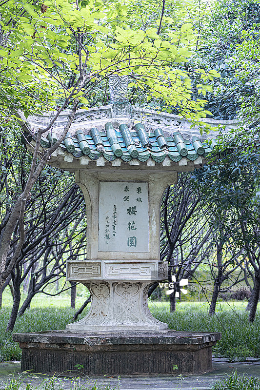 湖北黄冈赤壁公园樱花园图片素材