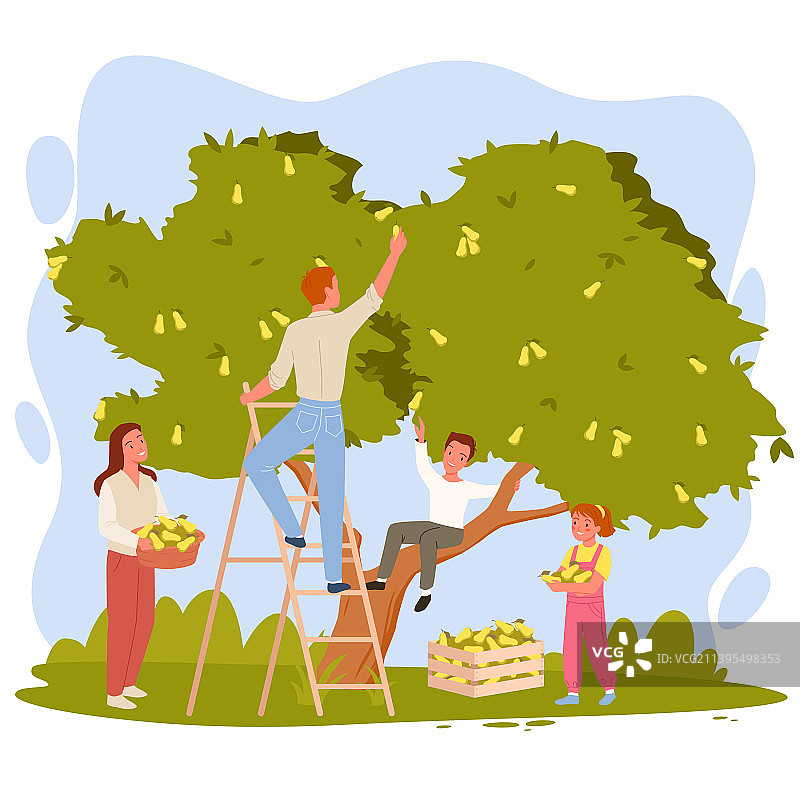 幸福家庭采摘梨子的场景图片素材