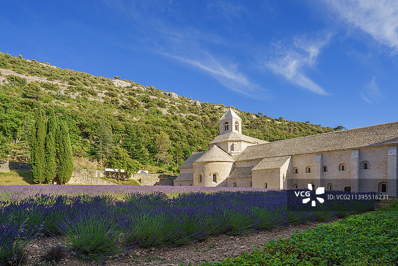 法国普罗旺斯塞南克修道院薰衣草图片素材