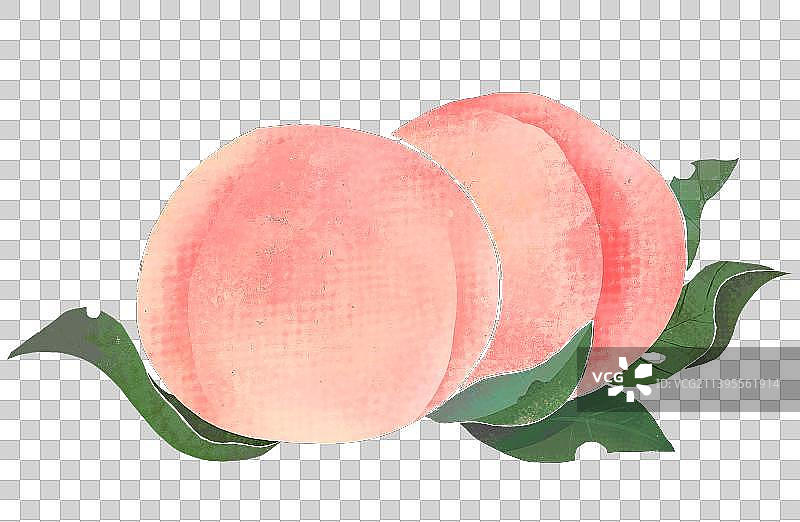 桃子水蜜桃图片素材