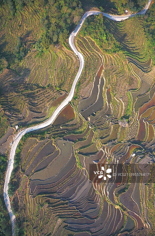 哀牢山行图片素材