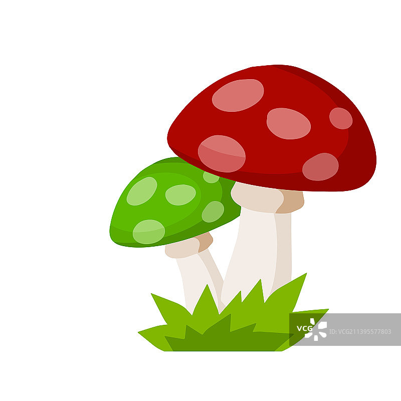 带绿色帽子的蘑菇图片素材