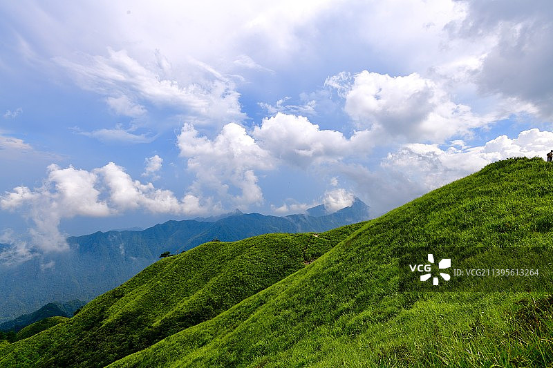 高山草甸户外风光图片素材