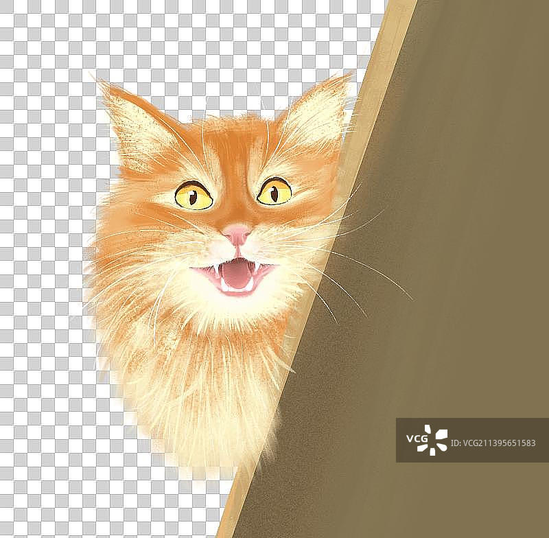 宠物猫科动物猫咪橘猫动物可爱插画图片素材