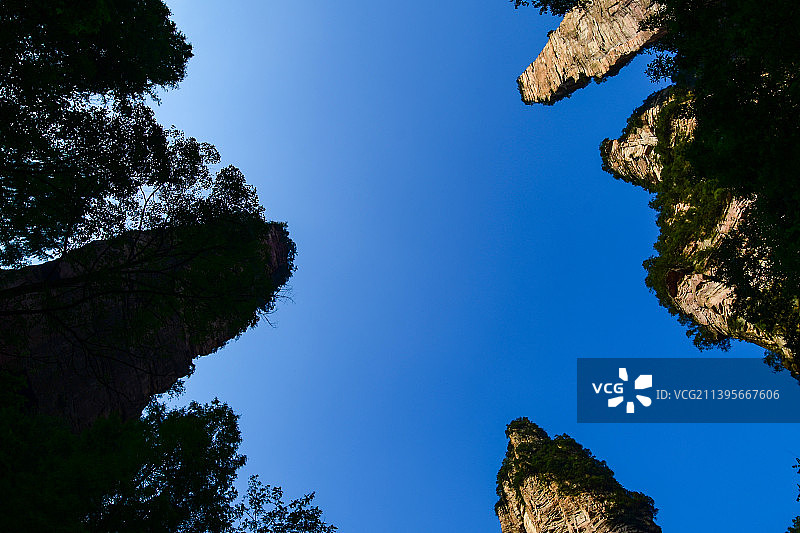 张家界金鞭岩仰拍图片素材