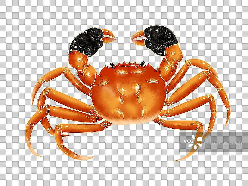 中秋节阳澄湖大闸蟹插画元素图片素材