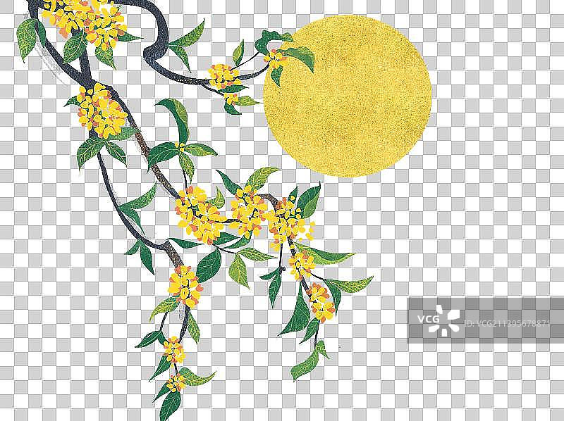 传统节日中秋节桂花酒月饼和月亮图片素材