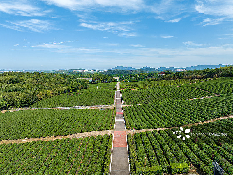 江苏省宜兴市张渚镇乡村茶场航拍风光图片素材