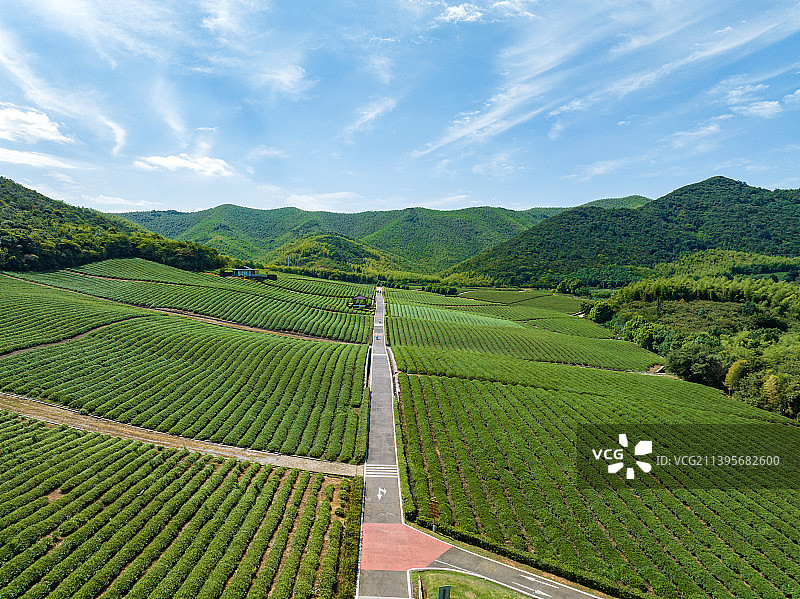 江苏省宜兴市张渚镇乡村茶场航拍风光图片素材