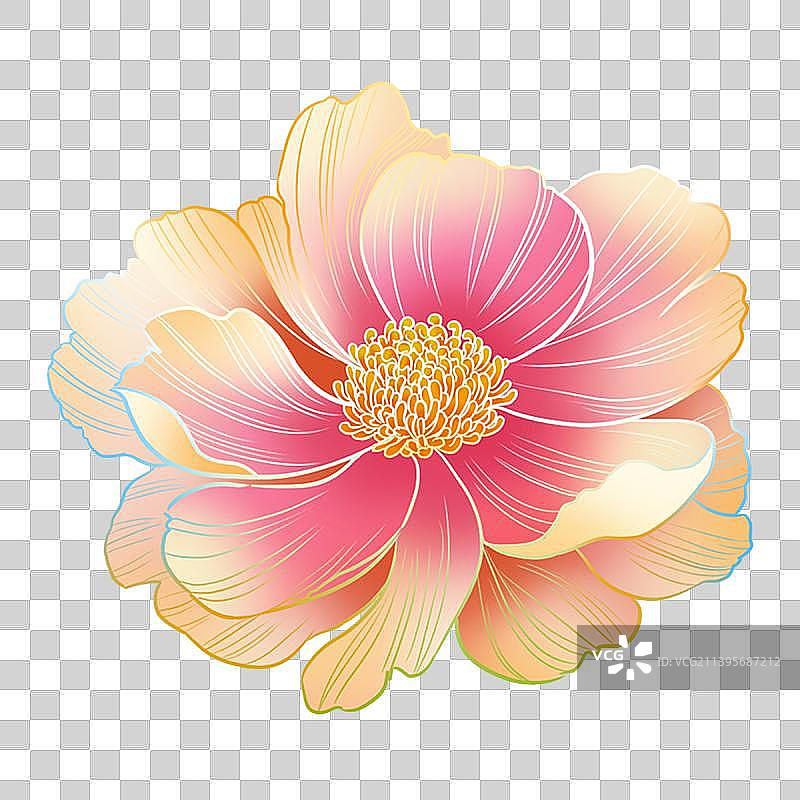 牡丹芍药国潮手绘插画元素纹样图片素材