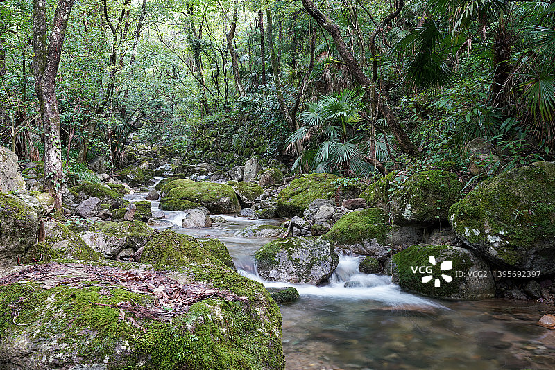 浙江省 杭州市 临安 天目山图片素材