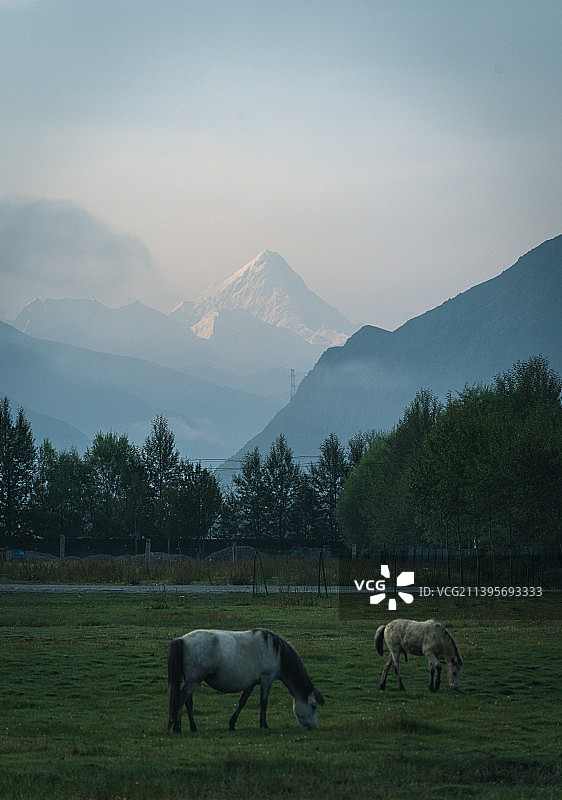 雪山之下图片素材