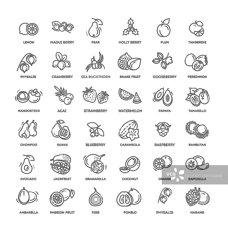 水果和浆果图标图片素材