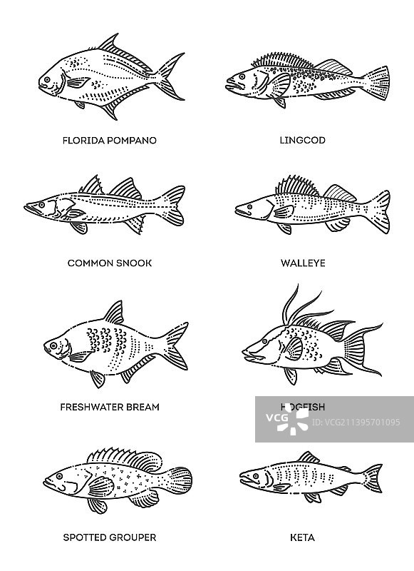 鱼类轮廓图标合集图片素材