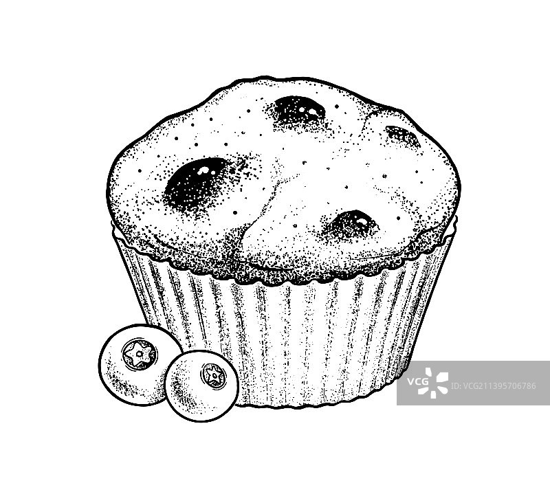 蓝莓麦芬草图图片素材