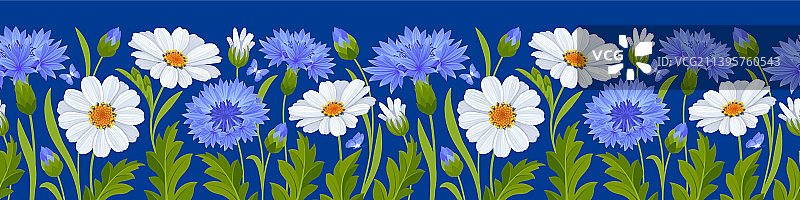 雏菊矢车菊无缝边框图片素材