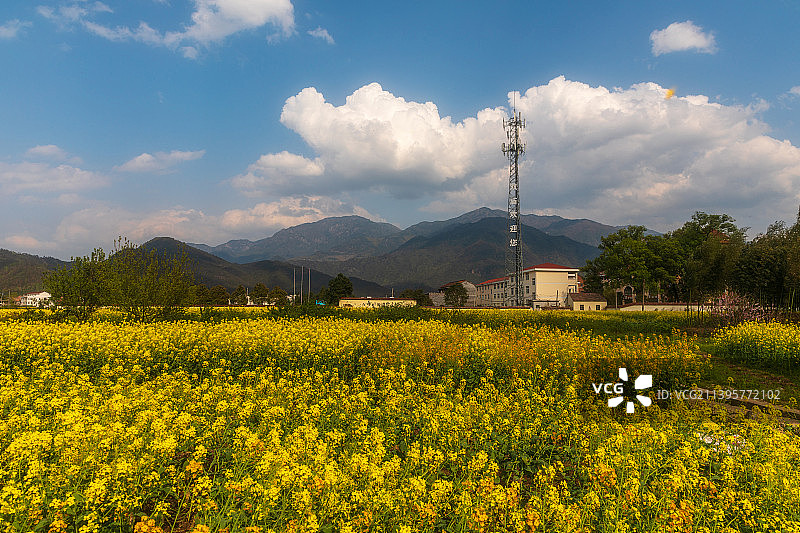 美丽乡村图片素材