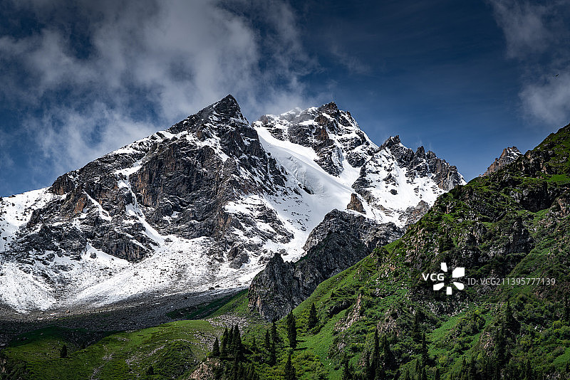 中国新疆伊犁昭苏夏塔古道天山山脉雪山与森林图片素材