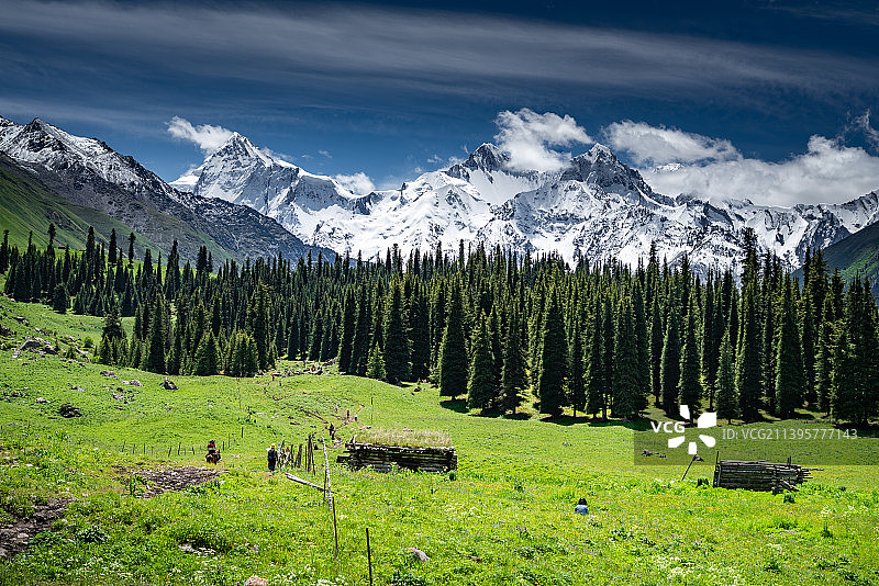 中国新疆伊犁昭苏夏塔古道天山山脉雪山与森林图片素材