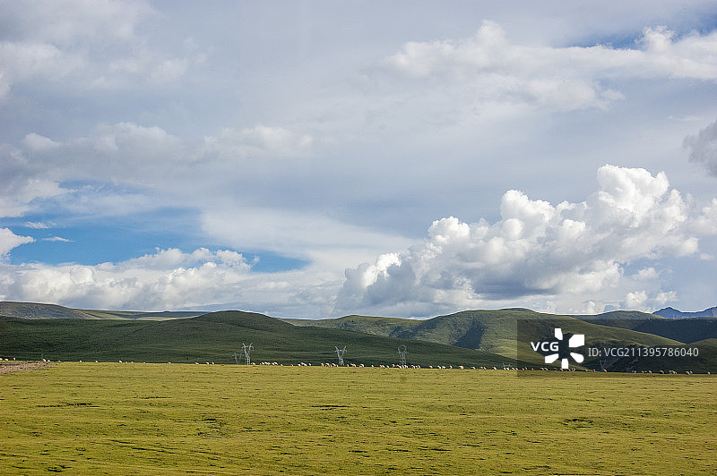 中国新疆西藏旅游风景图 219国道自行车旅行 草原蓝天白云 野牛吃草牛群 山脉雪山冰川图片素材
