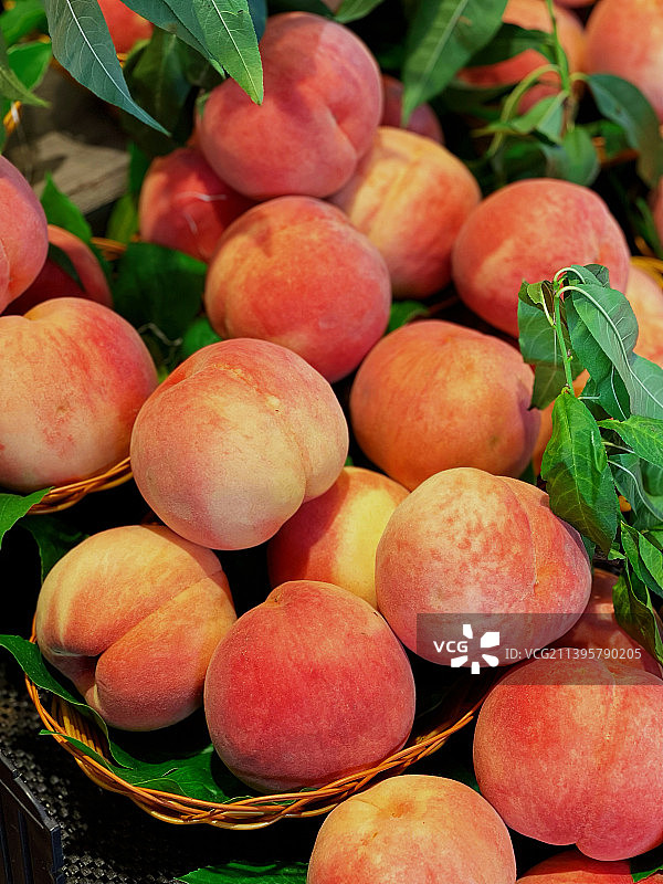 桃子熟了图片素材