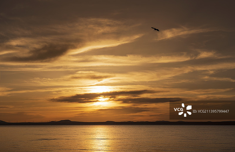 飞越黄昏图片素材