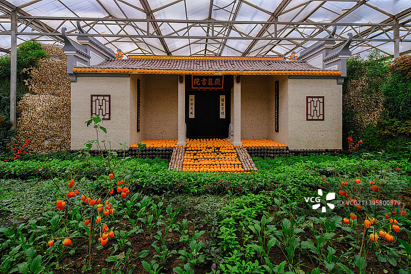 中国潍坊寿光菜博会8号馆“实事求是”图片素材