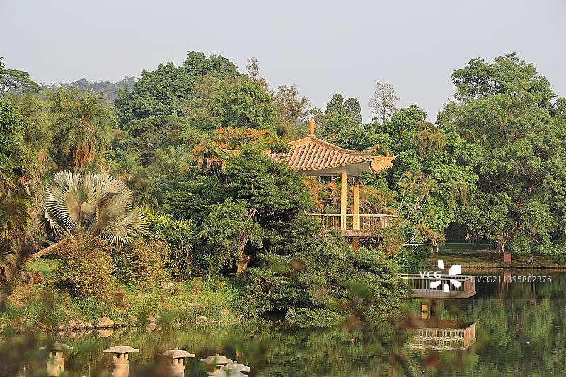 广州华南国家植物园风光图片素材