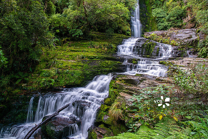 卡特林斯国家公园茂密雨林中的麦克莱恩瀑布图片素材