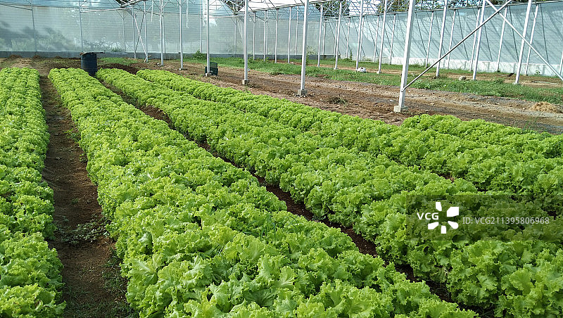 农田风景图片素材