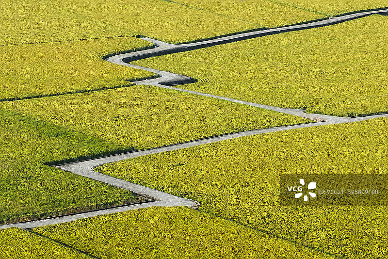 中国台湾台中市西区田野的高角度视图图片素材