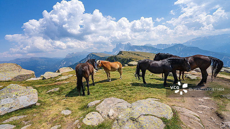 意大利博尔扎诺卡斯特尔罗托瓦尔加尔德纳全景图片素材