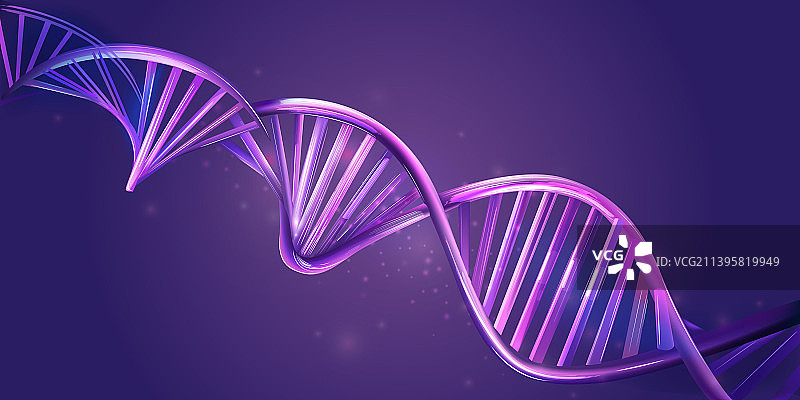 紫色背景上的发光DNA链图片素材