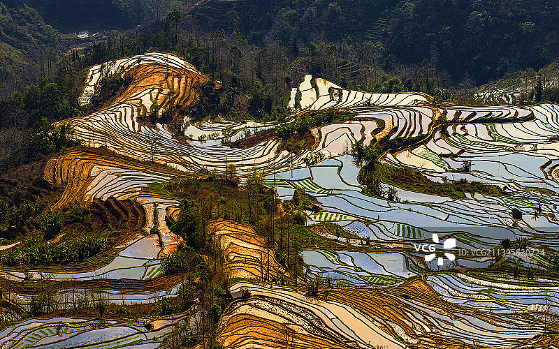 元阳梯田图片素材