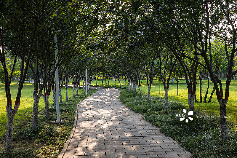 公园中的休闲锻炼步道图片素材