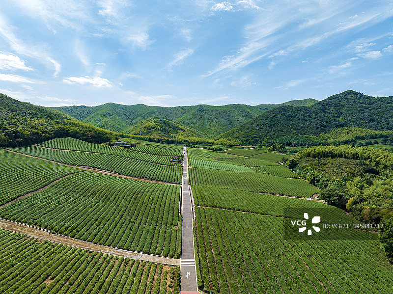 江苏省宜兴市张渚镇乡村茶场航拍风光图片素材