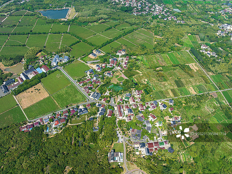 江苏省宜兴市张渚镇乡村茶场航拍风光图片素材