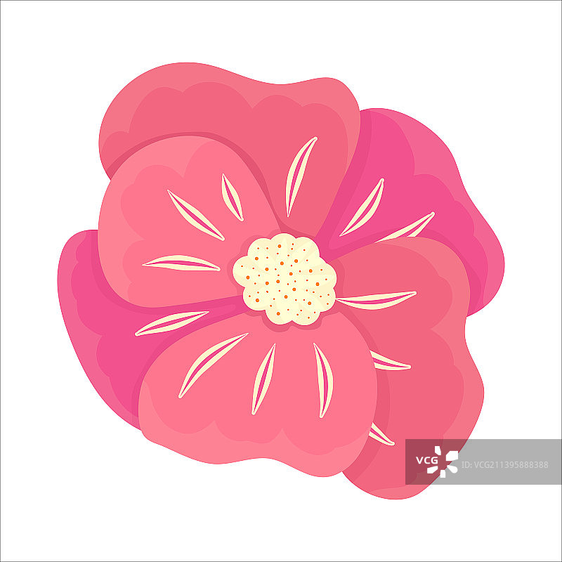 现代花卉设计图片素材