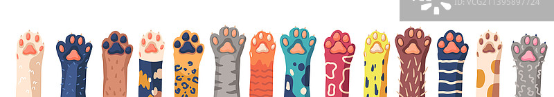 一排有趣的混种猫爪图片素材