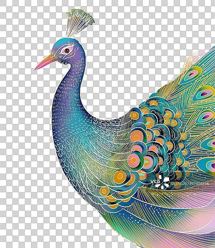 孔雀玉兰花国潮插画海报背景图片素材