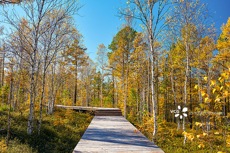 大兴安岭呼中苍山石林地质公园图片素材