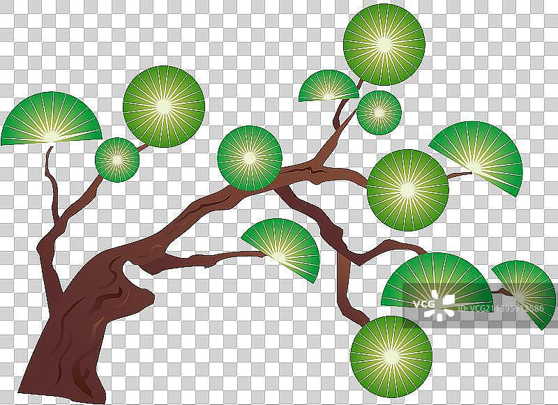 松柏松树国潮插画元素图片素材