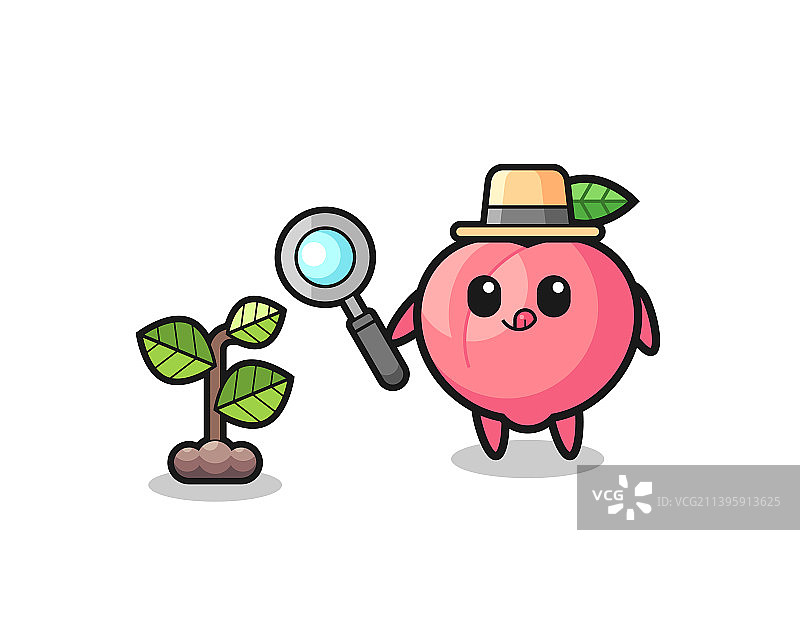 可爱的桃子草药师研究植物图片素材