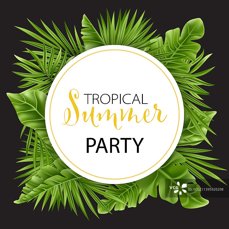 热带棕榈叶在黑白背景上隔离图片素材