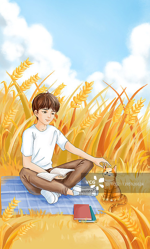 秋季麦田里学习的男孩和猫图片素材