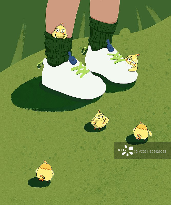 草地上的小黄鸡图片素材