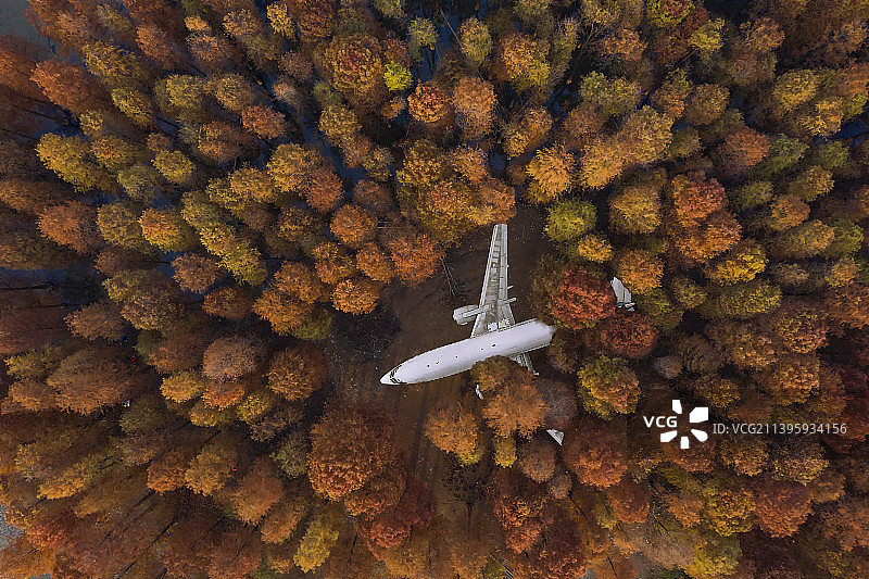 看，灰机图片素材