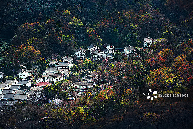 山村秋色——甘肃康县新农村图片素材