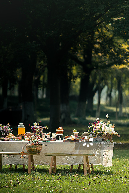 户外野餐露营图片素材