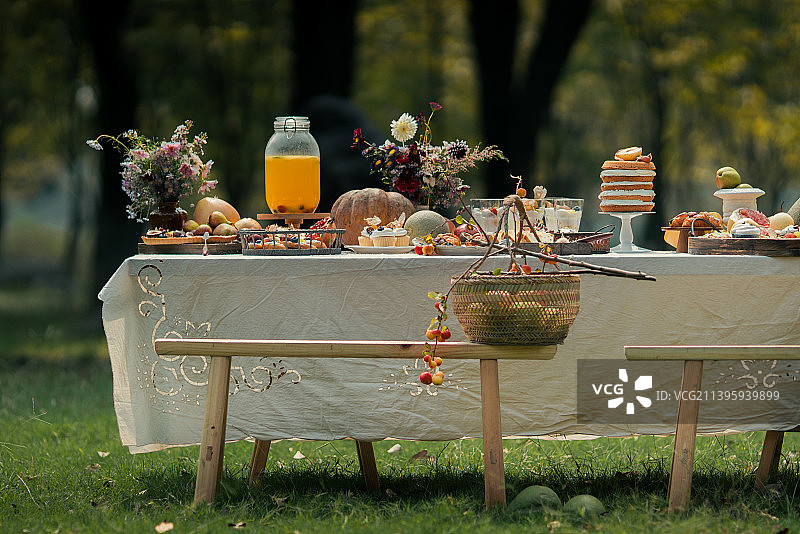 户外野餐露营图片素材